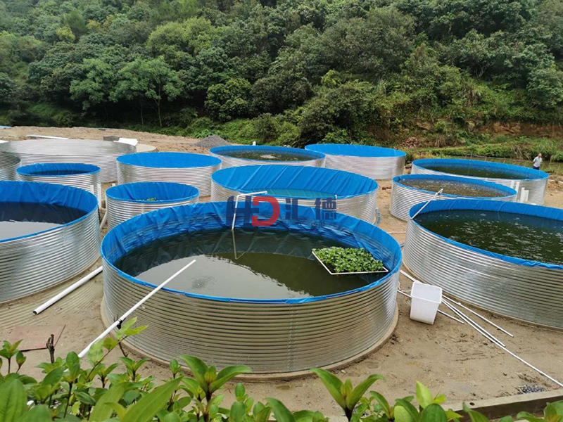 江西贛州養魚池